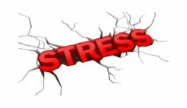 Tips to Manage and Reduce Stress Tips to Manage and Reduce Stress
